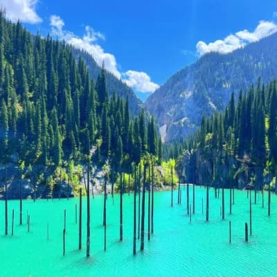 Kaindy Lake — the sunken forest